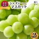 【ふるさと納税】【先行予約】山梨県産シャインマスカット　2kg箱 【2025年9月中旬から発送】 ないとうぶどうファーム[5839-1222]