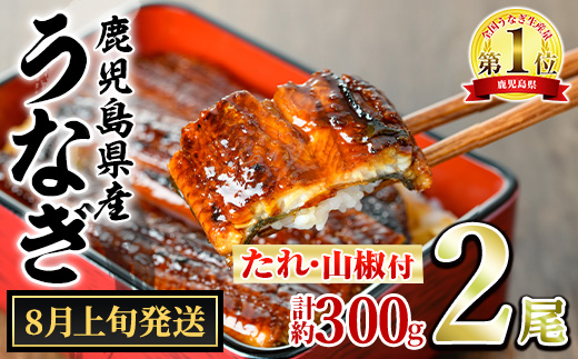 【0104347a-2608】＜8月上旬発送予定＞東串良町のうなぎ蒲焼(無頭)(2尾・計約300g・タレ、山椒付) うなぎ 高級 ウナギ 鰻 国産 蒲焼 蒲焼き たれ 鹿児島 ふるさと 人気【アクアおおすみ】