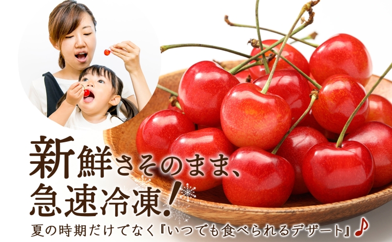 冷凍 さくらんぼ 160g × 3パック 赤ミックス 大橋さくらんぼ
