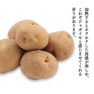 【先行予約】ホクホク男爵いも・甘みたっぷり玉ねぎ★10kgセット★（2026年9月下旬から発送開始）| 玉ねぎ_00565