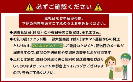◇B.C.KAME　type1　NA　5個セット