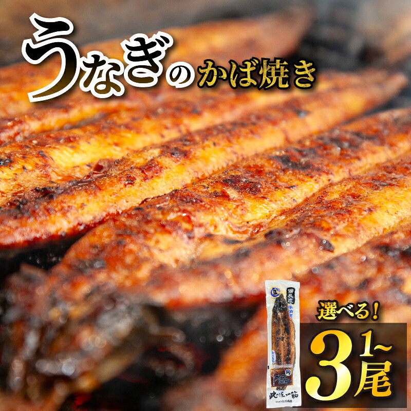 【ふるさと納税】 選べる 江口商店のうなぎの蒲焼き 1尾 2尾 3尾 こだわり親父の備長炭手焼き うなぎ 鰻 国産 長蒲焼 国産 うなぎ 鰻 ウナギ 蒲焼き 蒲焼 かばやき 魚 魚介 魚貝 海鮮 うな重 ひつまぶし 蒲焼 ギフト 人気 おすすめ福岡県 柳川市