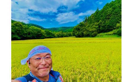 令和7年度産 農家直送「山ちゃんのお米」コシヒカリ20kg