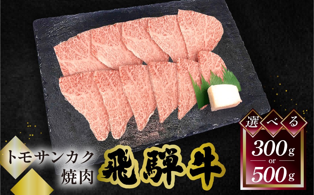 
                  【選べる容量】菊の井 飛騨牛トモサンカク焼肉  300g（2～3人前）／500g（4～5人前）牛肉 ブランド牛 国産 牛 ともさんかく 高級 やきにく 焼き肉【冷凍】 
                