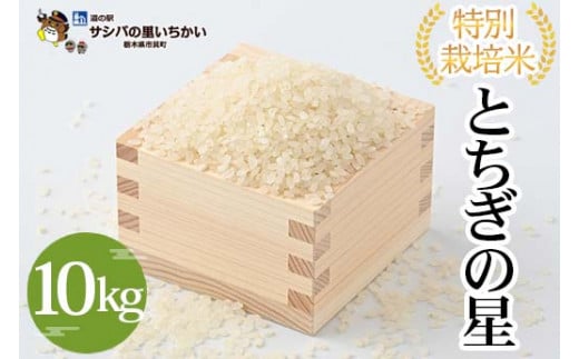 特別栽培米〈とちぎの星〉10kg | 国産 栃木県産 とちぎの星 米 お米 特別栽培米 精米 白米 栃木米 とちぎ米 米の食味ランキング特A評価 産地直送 送料無料 ※離島への配送不可 ※2025年9月中旬頃より順次発送予定