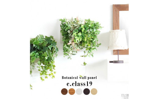 
Botanical c.class 19
