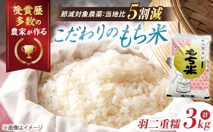 
                  【特別栽培米】もち米 羽二重糯（はぶたえもち）3kg 滋賀県長浜市/株式会社ＴＰＦ [AQCQ007] お米 もち 米 モチ 3キロ 国産 餅 こめ コメ 滋賀県産 滋賀 産直 産地直送 農家直送 おこわ 団子 餅米 白もち米 精米もち米 餅つき
                