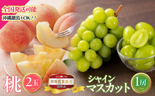 【2026年発送★先行予約】山梨県笛吹市産　桃2玉・シャインマスカット1房のセット　約1kg 223-014-26y