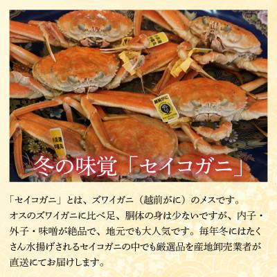 ふるさと納税 小浜市 【先行予約】加福鮮魚「若狭小浜港産地直送」　セイコガニ(コッペガニ)ボイル5杯 |  | 01