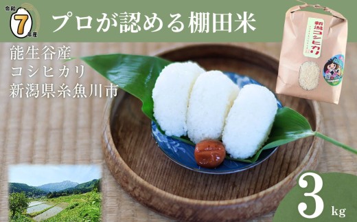 【2025年11月発送】令和7年産 新潟県能生谷産コシヒカリ 3kg プロも認める棚田米 農家直送 2025年産 JATs有限会社【新潟県 糸魚川市 米 お米 こめ コメ ご飯 ライス ふるさと納税米 ブランド米 おすすめ ギフト 3キロ 精米 白米 人気 食品 選べる配送月】