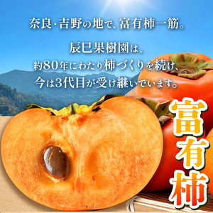 富有柿〈家庭用〉 約4kg（S～Lサイズ混載）  |  先行予約 大人気 人気 富有 柿 かき フルーツ 果物 辰巳果樹園 ギフト おすすめ 10月 11月 発送 カキ 秋の味覚 旬 甘い 大容量 農