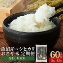 【ふるさと納税】令和6年産（定期便）魚沼産コシヒカリ定期便 5kg×12回（12か月連続お届け）（毎月お届け）白米 60kg（JA魚沼） JA152P326