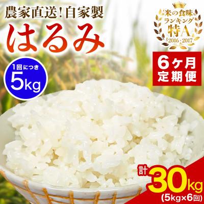 ふるさと納税 伊勢原市 【毎月定期便】合計30kg 精米 はるみ 5kg 加藤さんちのうんめぇ米全6回