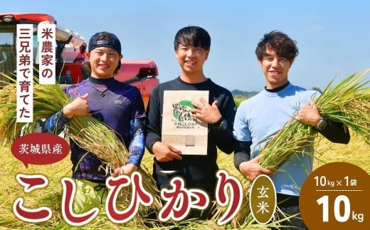 【令和7年度新米】龍ケ崎の美味しい コシヒカリ 玄米  10kg(10㎏×1袋) ❙ こしひかり お米 米 こめ 白米 玄米 新米 冷めてもおいしい 美味しい こだわり おにぎり 茨城県 龍ケ崎市産