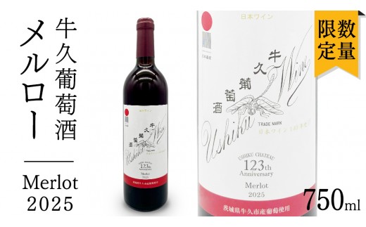 
                  牛久葡萄酒 メルロー 2025 ( 赤 ) 750ml 1本 【数量限定】 【日本ワイナリーアワード三ッ星受賞】 牛久シャトー 日本ワイナリーアワード 三ッ星 3つ星 受賞ワイナリー 赤ワイン 国産ぶどう 葡萄 贈り物 ライトボディ 日本ワイン 茨城農芸学院 わいん
                