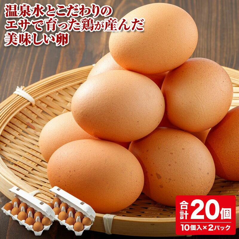 【ふるさと納税】 卵 たまご タマゴ 財寶温泉 生卵 20個 卵焼き たまごかけ 家庭料理 鹿児島県 鹿屋市 破卵保障あり【財宝】