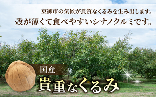 殻つきくるみ約1.4kg（2026年収穫分）｜JA信州うえだ東部地区営農課 ※2026年11月下旬以降発送 胡桃 信濃くるみ ナッツ 家庭用 自宅用 おつまみ おやつ 国産 信州 長野県東御市