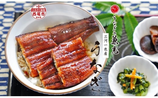 愛知県三河一色産うなぎ蒲焼き　超特大サイズ2尾(合計500g以上) 国産 蒲焼 タレ付き うなぎの兼光 うなぎ 鰻 ウナギ たれ セット 冷凍 簡単 時短 ギフト ひつまぶし うなぎ丼 うなぎ重 人気 ・U039-20