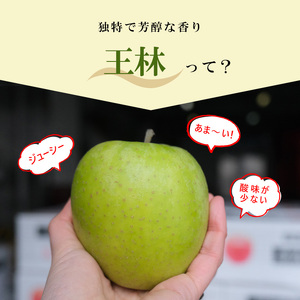 りんご 【1月発送】 糖度13度以上 贈答用 王林 約 5kg 【 弘前市産 青森りんご 】