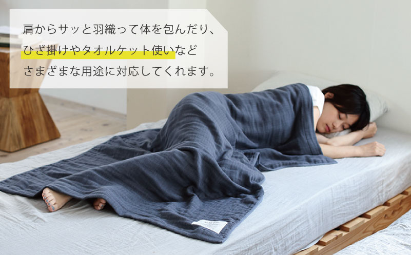 【高島屋選定品】SHINTO TOWEL 2.5重ガーゼ バスタオル Lセット 計3枚