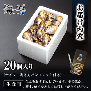 ひとくち 真牡蠣 (20個入) 真牡蠣 生がき 生牡蠣 かき 殻付き 貝 かい 一口サイズ 大分 佐伯 国産 ご当地 お取り寄せ グルメ 【GB001】【(株)海生】