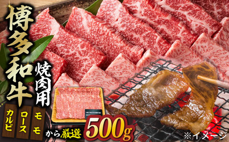 【和牛の旨味を堪能！】博多和牛 焼肉用 500g【株式会社MEAT PLUS】 牛肉 BBQ [ABBP012] 