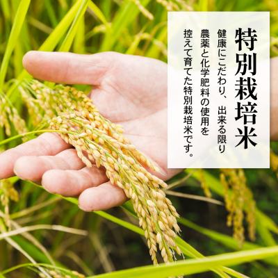 ふるさと納税 米沢市 【先行予約】令和8年産 特別栽培米ミルキークイーン2合8袋 セット(1袋 300g)計2.4kg |  | 01