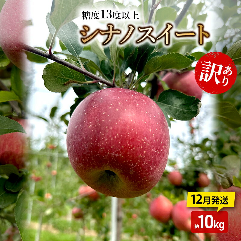 【ふるさと納税】りんご【12月発送】糖度13度以上 訳あり品 家庭用 シナノスイート 約10kg【青森りんご】　お届け：2025年12月20日頃～2025年12月27日
