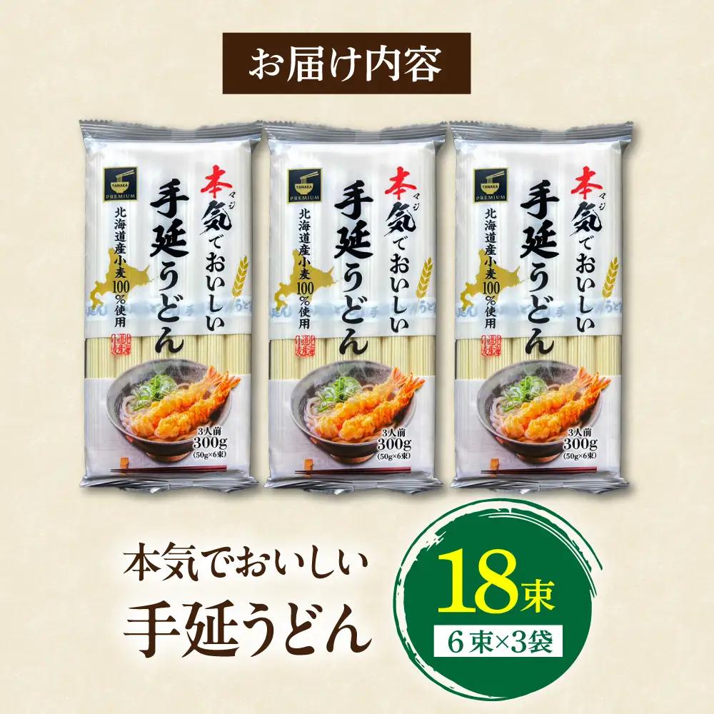 【ふるさと納税限定】本気（マジ）でおいしい手延うどん  9人前 [SDY034] うどん