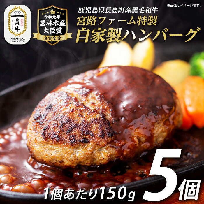 【ふるさと納税】鹿児島県産合挽き肉使用 自家製ハンバーグ計5個(1個150g)国産 鹿児島 ハンバーグ 冷凍 セット 詰め合わせ 惣菜 肉 合い挽き 合挽 豚肉 牛肉 肉 加工品 小分け 個包装 おかず【宮路ファーム】f-miyaji-7024