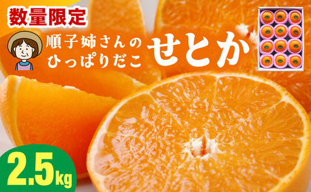 KU303 ≪数量限定≫ 順子姉さんのひっぱりだこ愛情せとか 2.5kg
