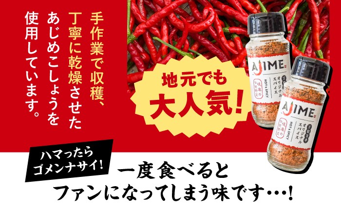 スパイス アウトドア キャンプ 調味料 料理 バーベキュー 詰め合わせ BBQ 贈答 ギフト おすすめ 人気 岐阜県 恵那市