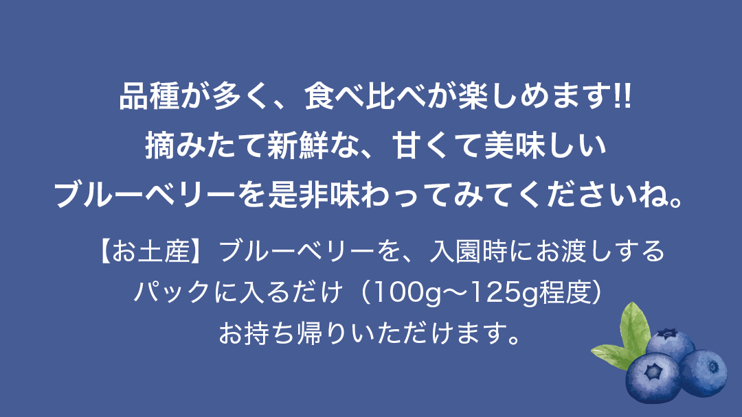 【寄附受付は2025年8月5日まで】 ブルーベリー狩り 体験チケット 《大人１名様プラン お土産付き》 ブルーベリー ベリー 食べ比べ 食べ放題 収穫 収穫体験 体験 チケット 招待券 レジャー 観光