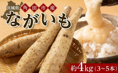 宮城県角田市産ながいも約４kg（３～５本） 長芋 長いも ながいも とろろ 