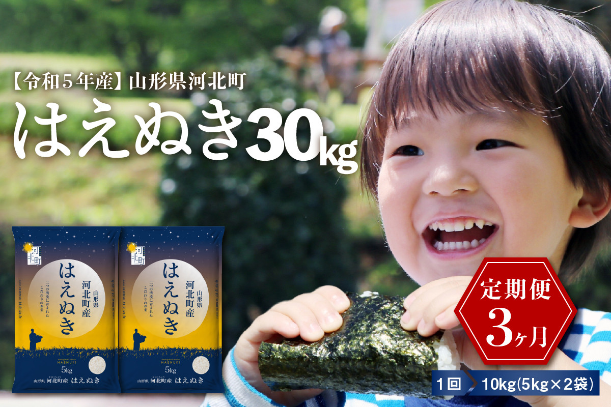 
【令和5年産米】※選べる配送時期※ はえぬき30kg（10kg×3ヶ月）定期便 山形県産※2023年10月より発送※【米COMEかほく協同組合】
