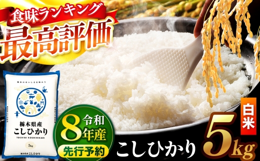 【先行予約】 ＼白米／ 栃木県産コシヒカリ 5kg | 真岡市産 コシヒカリ 銘柄 お米 米 おにぎり おむすび  ふるさと納税 栃木県 真岡市 送料無料