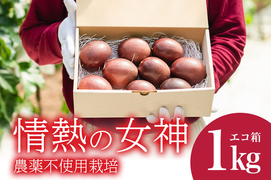 【2026年発送】沖縄情熱農園 農薬不使用栽培パッションフルーツ　「情熱の女神」1kg（エコ箱） 45-4