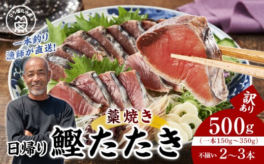 
                  かつお一本釣り漁師が直送！ 日帰りかつおの藁焼きたたき 訳あり 500g入
                
