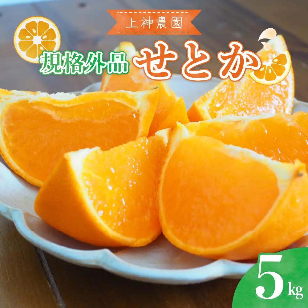 先行受付 2027年2月初旬～発送 規格外品 せとか約5kg 上神農園