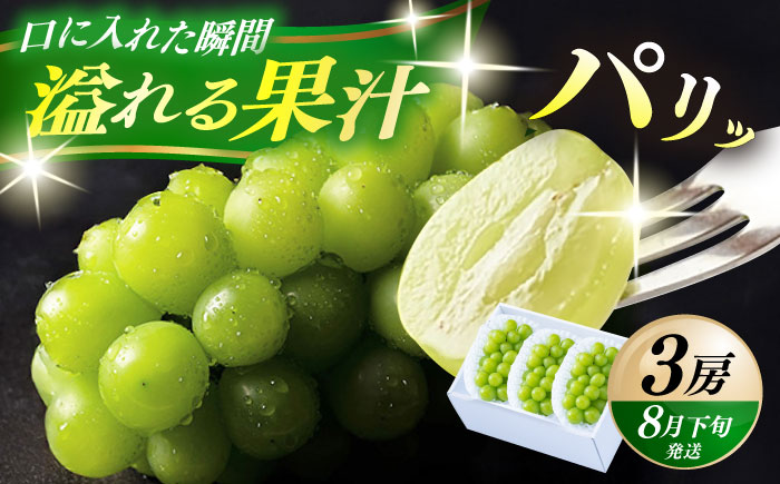 【先行予約・26年8月以降発送】日田産シャインマスカット3房(約1.5kg)　日田市 / 南国フルーツ株式会社 ブドウ 葡萄 ぶどう 【配送不可地域：離島】[ARET006]