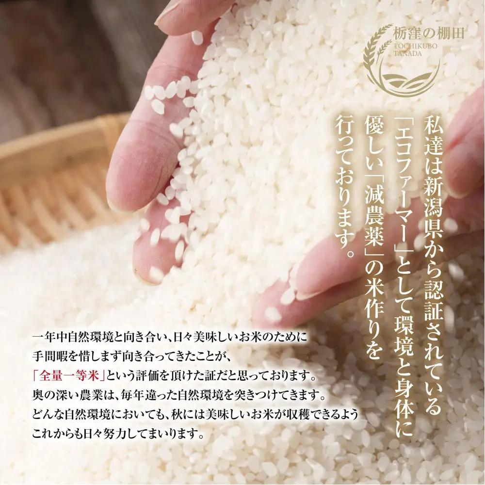 【令和8年産 新米】【栃窪の棚田米限定】南魚沼 しおざわ 栃窪産 コシヒカリ 5kg 日熊の米 農家のこだわり 棚田 こしひかり 農家直送 減農薬 新潟県認証 エコファーマー ベストファーマー 新潟県