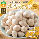 【ふるさと納税】《選べるサイズ》農家直送銀杏殻付き M～3Lサイズ／1.2kg～1.6kg 山形県産 ぎんなん《いとう農園》 茶碗蒸し おつまみ 季節限定 F4A-0309var