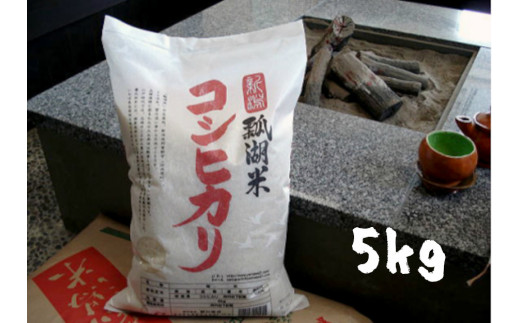 【令和7年産】新潟産コシヒカリ「瓢湖米」5kg 白米 精米 1N04015