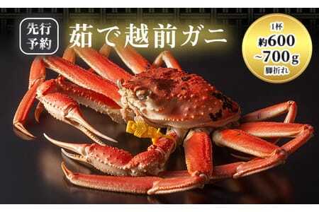 越前ガニ 訳あり ボイル1杯 約600g～700g未満 越前ガニ