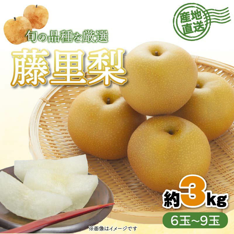 【ふるさと納税】 梨 藤里梨 3kg ( 6 玉 ～ 9玉 ) オンライン決済限定 フルーツ 果物 くだもの 梨 なし ナシ 旬 梨