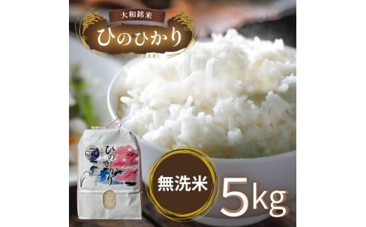 無洗米大和銘米ひのひかり5kg｜お米 ヒノヒカリ 米 5キロ 