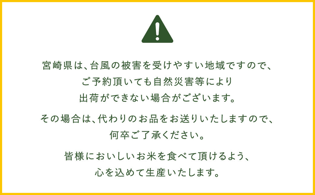 宮崎県産 夏の笑み（無洗米）5kg 3か月定期便