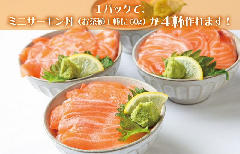 アトランティックサーモン 1.2kg（200g×6）訳あり サイズ不揃い 020C301