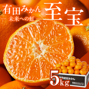 有田市認定みかん「未来への虹」至宝(5kg)【日本初自治体認定フルーツ】(B1-2)