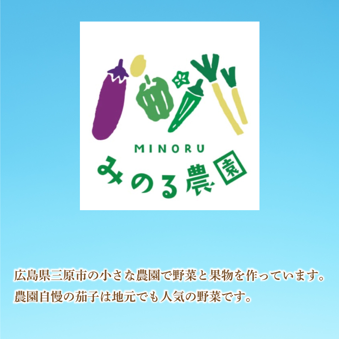 【先行受付】みのる農園 農家直送！美～なす 4kg ナス 野菜 やさい 2025年7月～10月上旬お届け 広島県三原市 206005